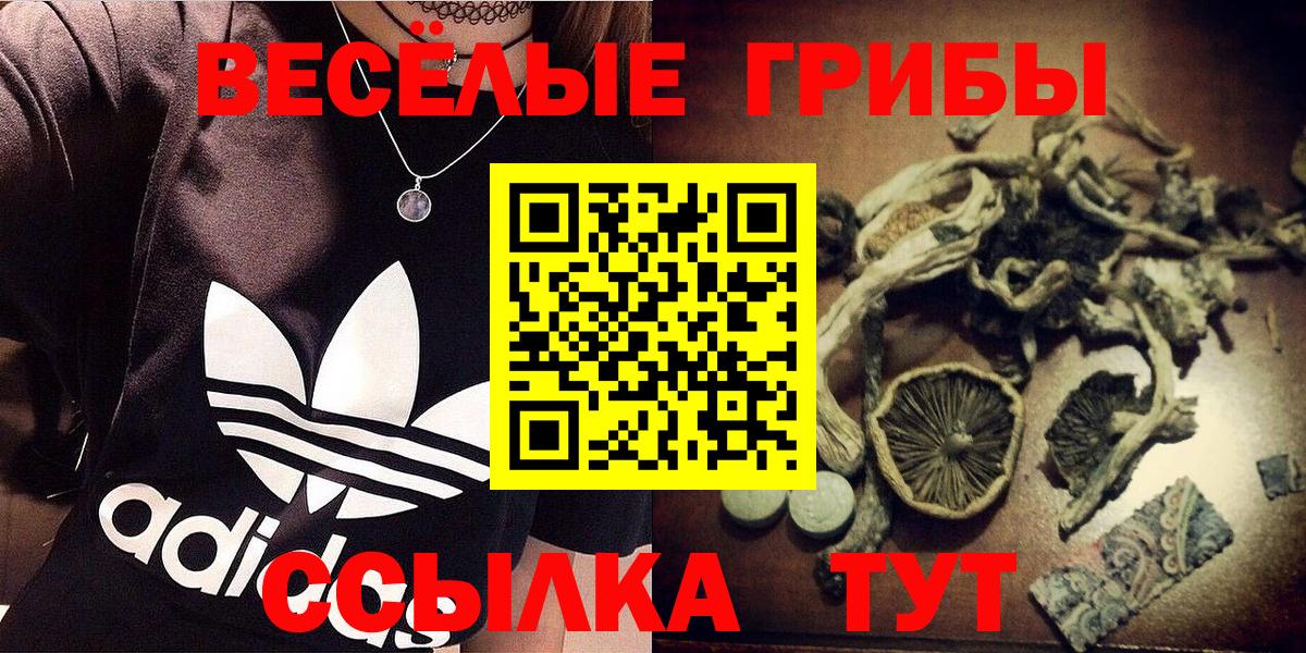 где найти   Галлюциногенные грибы MAGIC MUSHROOMS  Вход с VPN  Наро-Фоминск  Галлюциногенные грибы MAGIC MUSHROOMS 