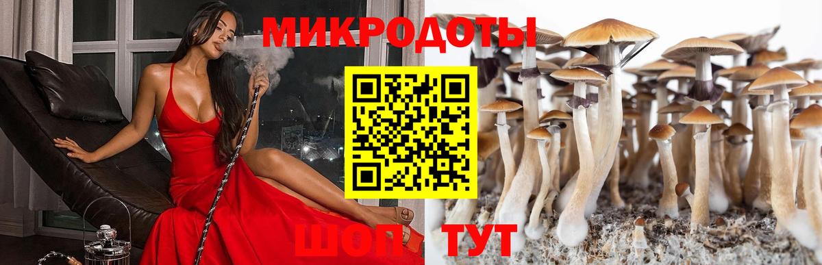 Галлюциногенные грибы прущие грибы Наро-Фоминск